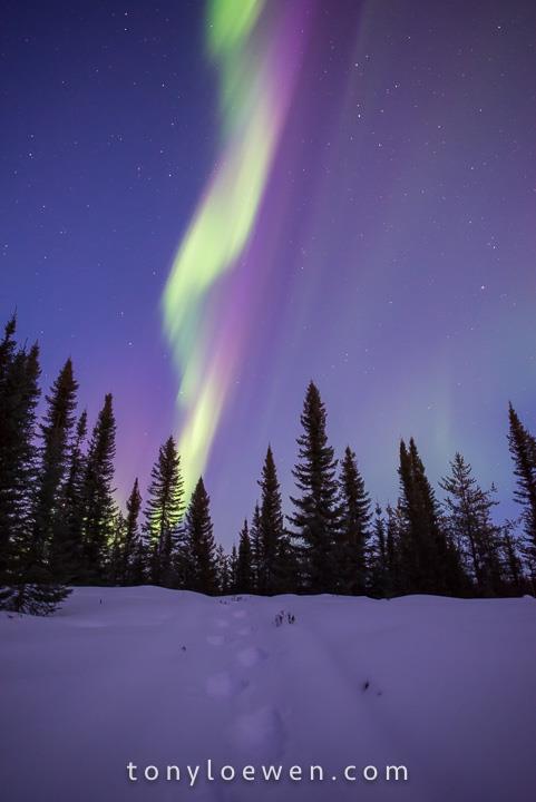 12717946_835594029882587_5774080215909921798_n